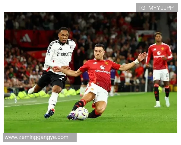 喜欢看足球世界杯的NBA球星们如何跨界热爱足球运动的背后故事